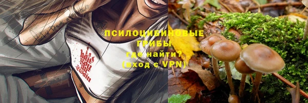 мет Аркадак