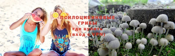герыч Арсеньев